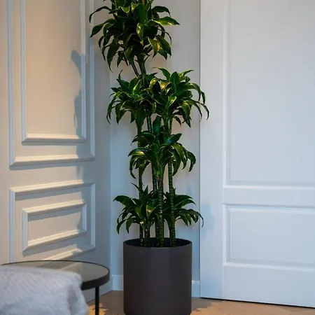 Apartment Old Town - Location, Workspace - By Rentujemy *
